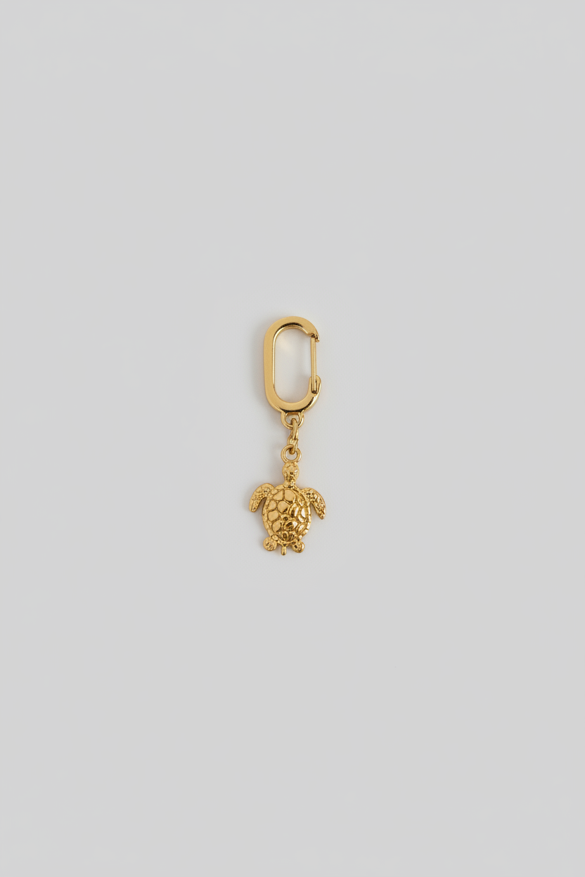 Turtle swimwear accessories