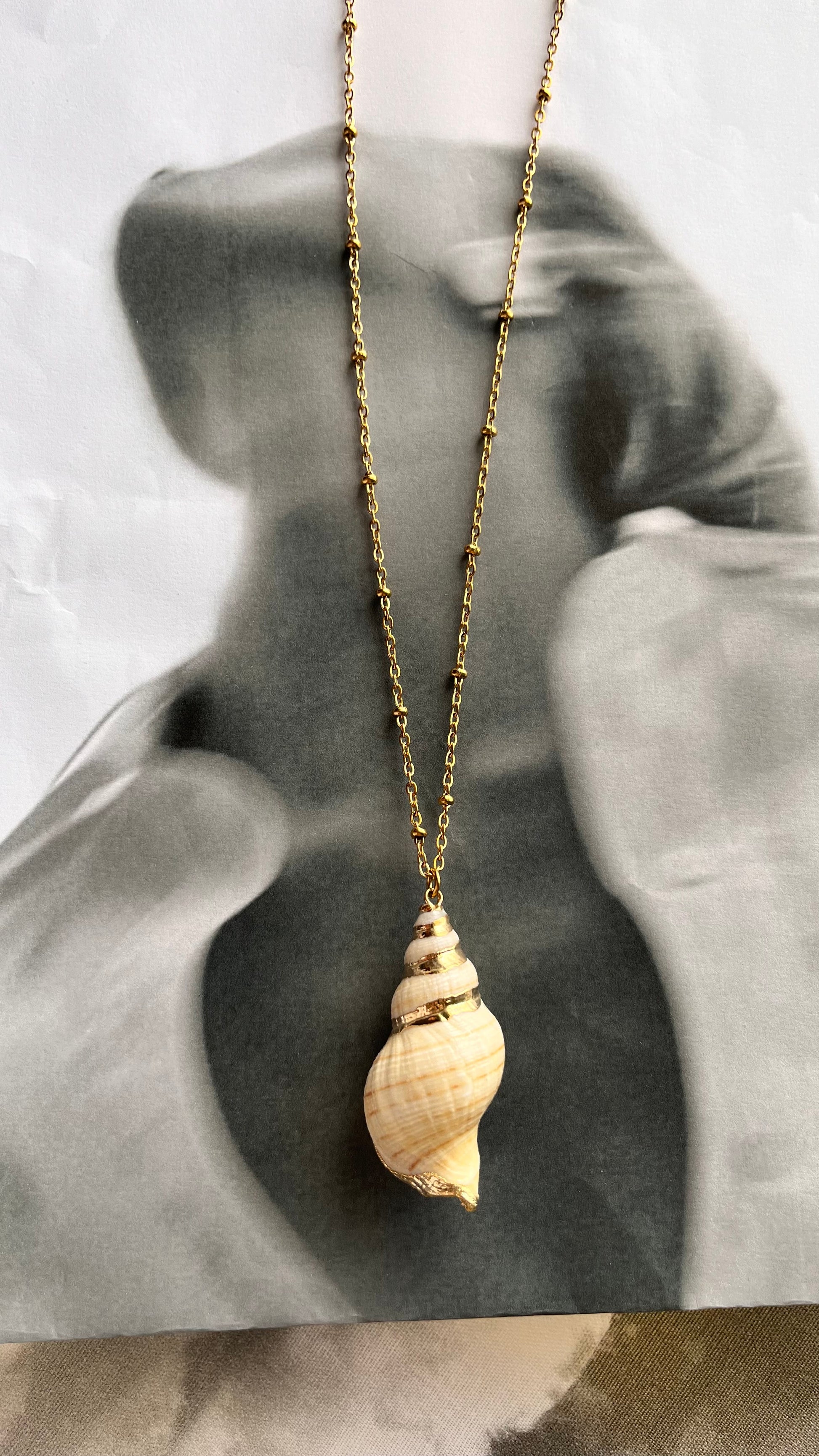 Golden Shell Long Necklace