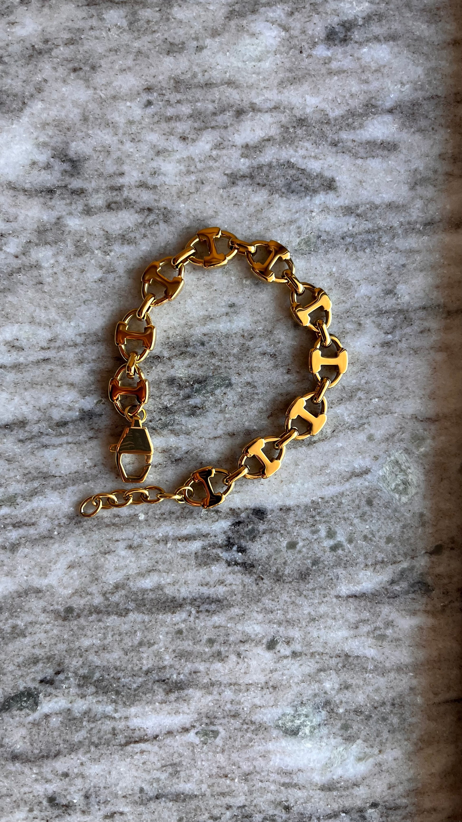 Titan Link Gold Bracelet