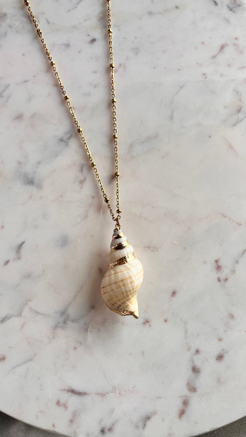 Golden Shell Long Necklace