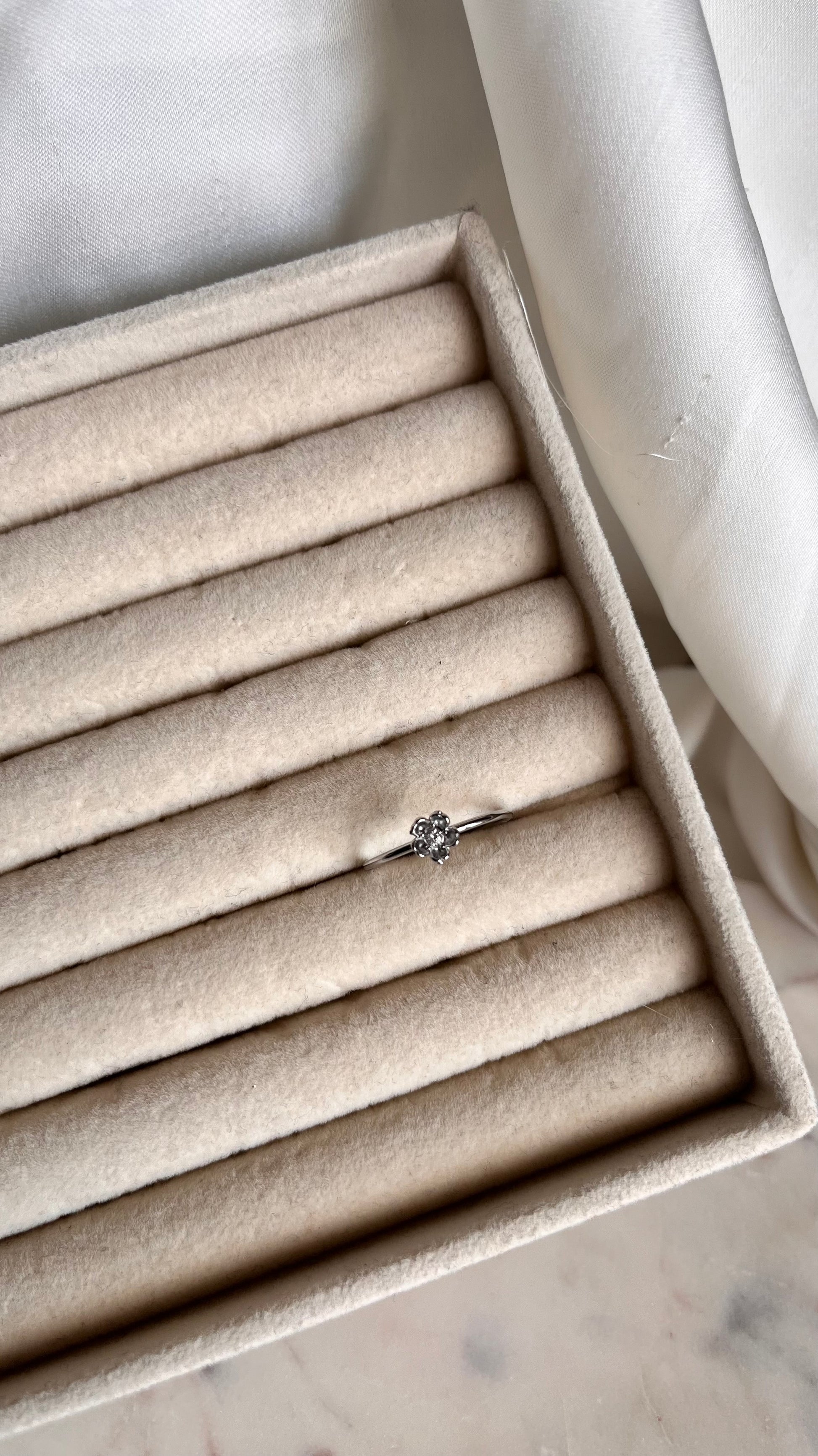 Nora Silver ring