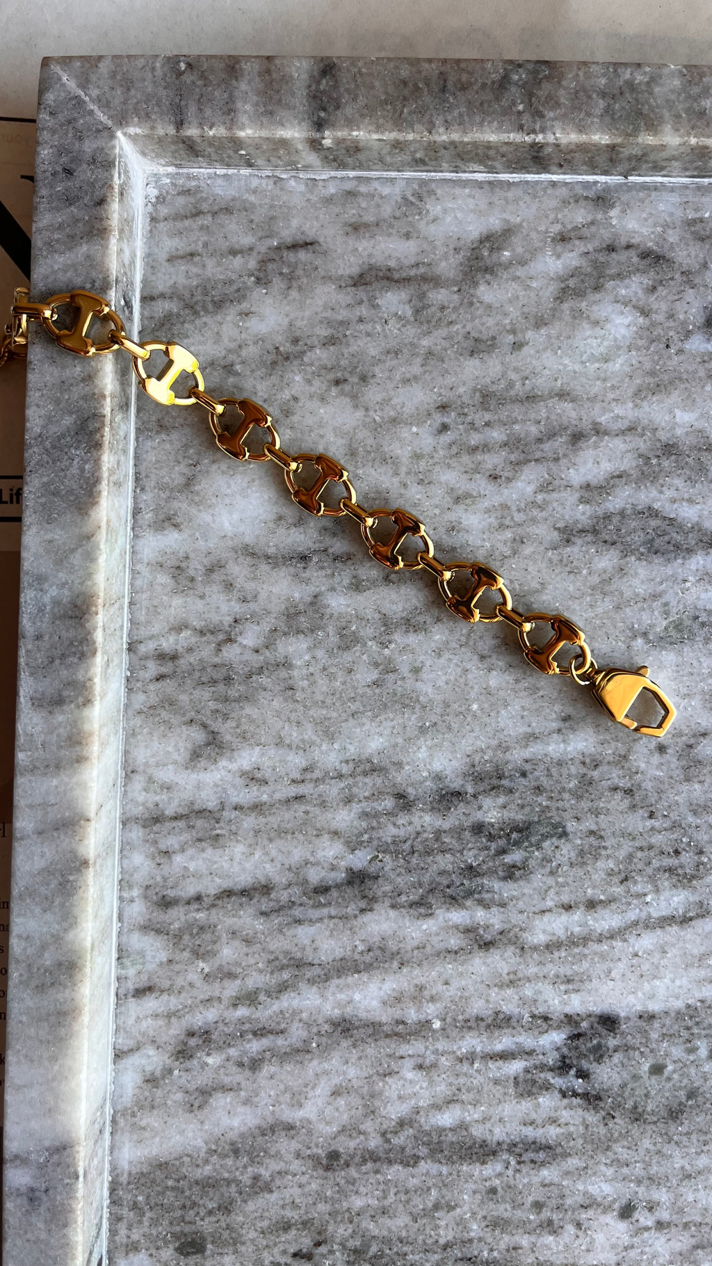 Titan Link Gold Bracelet