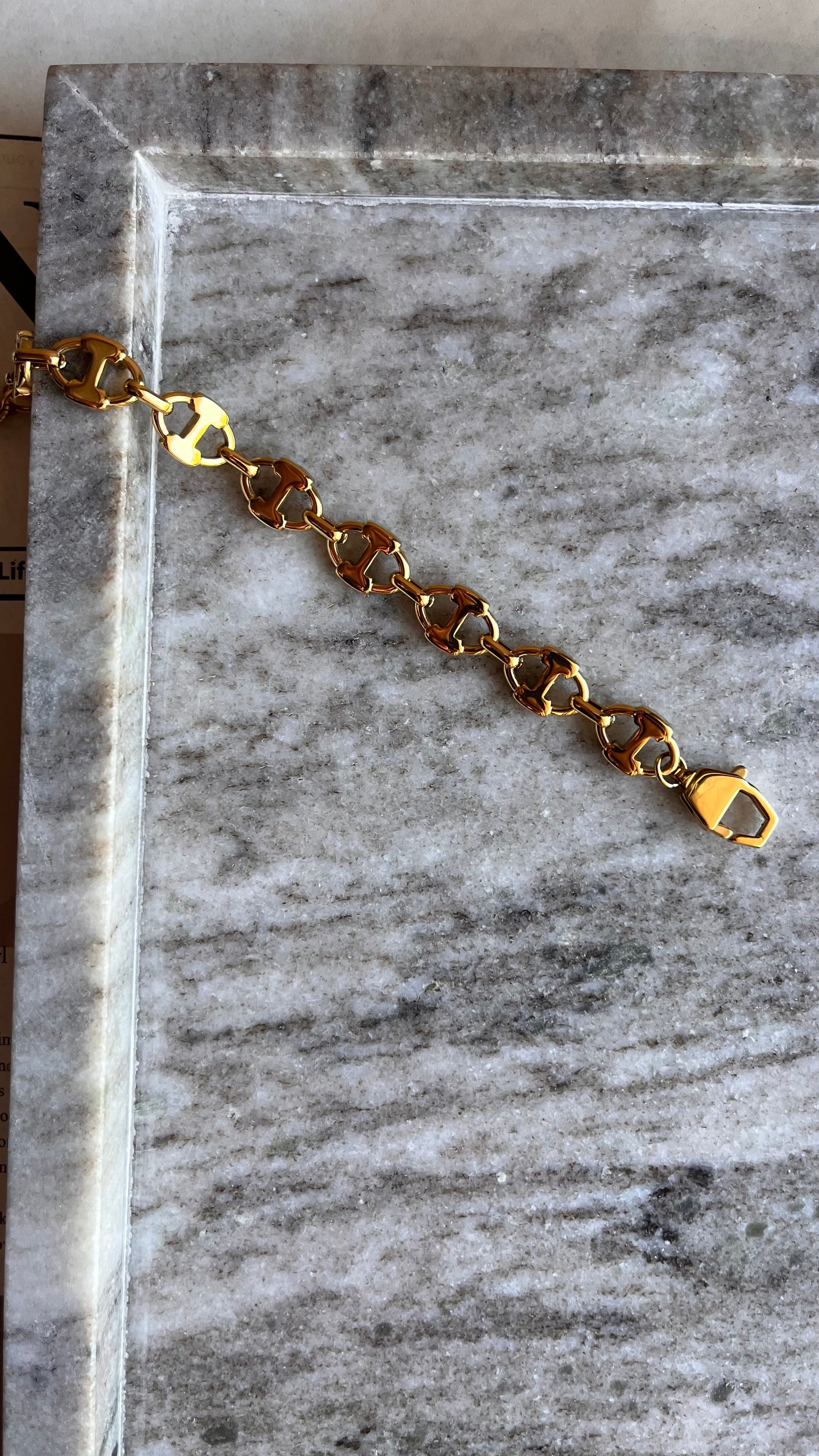 Titan Link Gold Bracelet